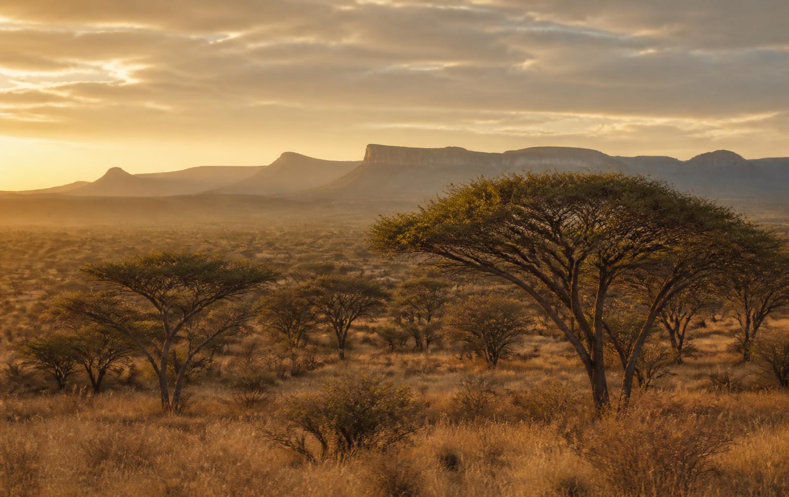 Golden hour over the lowveld savanna near Hoedspruit